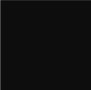 Vinyl ORACAL 751c Glossy Black - 070 (126cm)