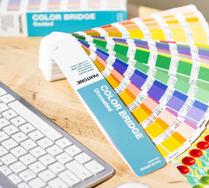 Pantone ColorBridge Uncoated