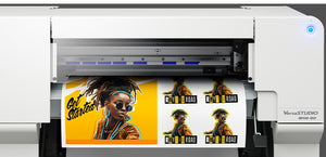 Roland VersaSTUDIO BN2-20A