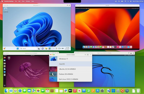 Parallels desktop 26 voor Mac - Business Edition