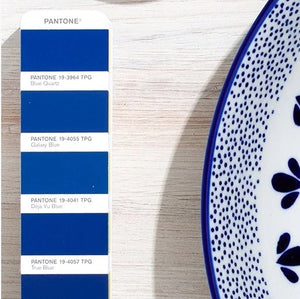 Pantone Fashion Home + Interiors Color Guide + Dualities Expansion Pack