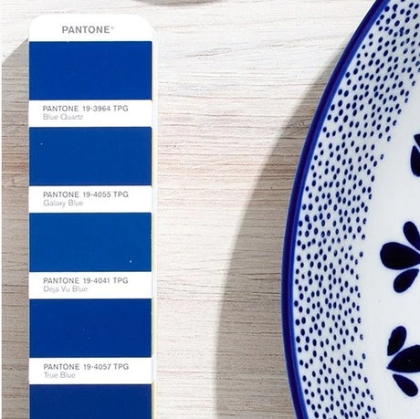 Pantone Fashion Home + Interiors Color Guide + Dualities Expansion Pack
