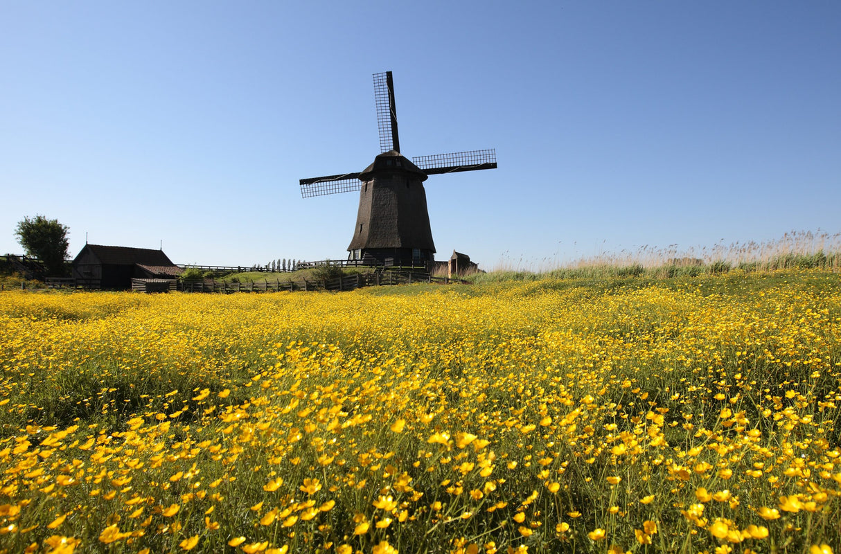 Dreamstime 12 maanden