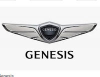 Licht rookkleurige zonwerende folie 35 – Genesis GV70 ()