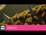 Twinmotion